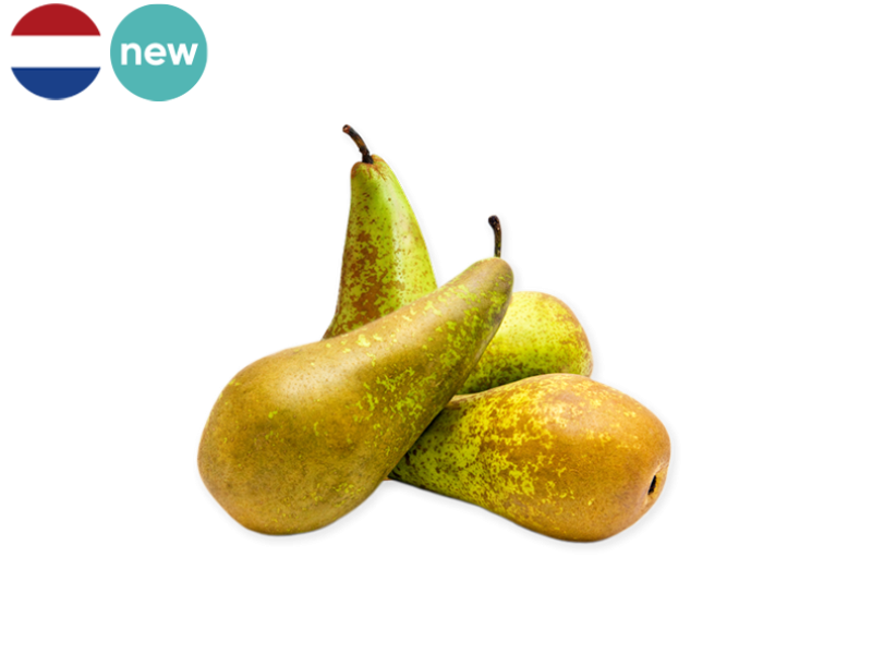 Conference_Pear_Netherland_FPEAR32