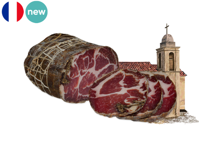 Coppa_MCOPA02