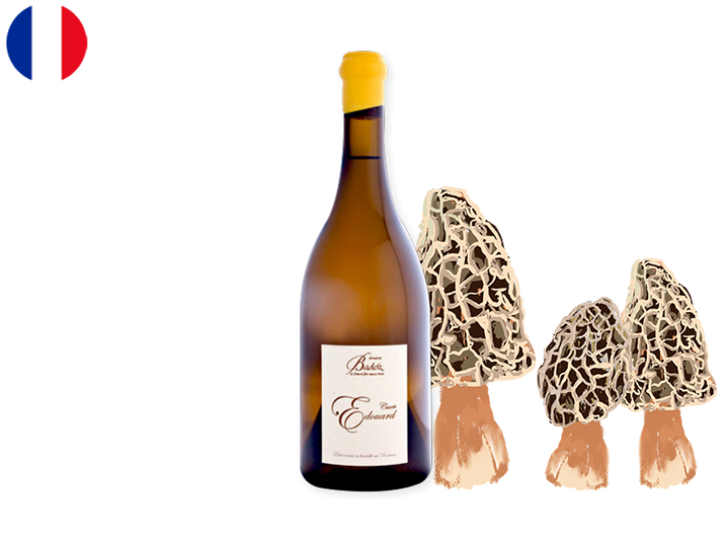 Côtes_du_Jura_AOC_Edouard_Domaine_Badoz_2022_WWHI106 (1)