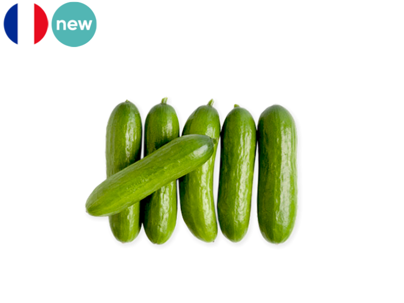 Cucumber_Snack_mini_from_France_(Organic)_NEW_FCUCU08