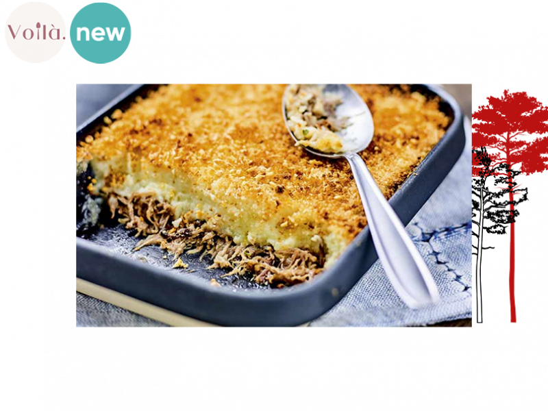 Duck_Parmentier_ODUCK02