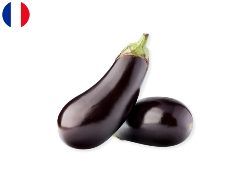 Eggplant_from_France_Organic_FEGG03