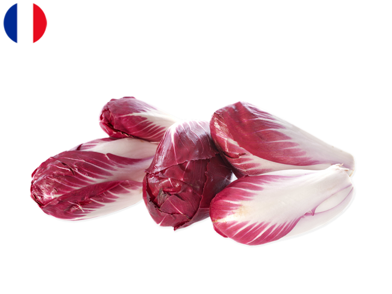 Endive_Red_Carmine_France_FENDI06