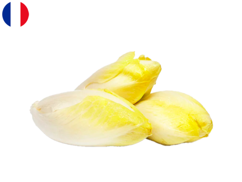 Endive_from_France_(Organic)_FENDI05