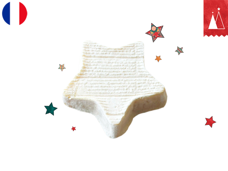 Etoile_de_Gatine_CETOI01