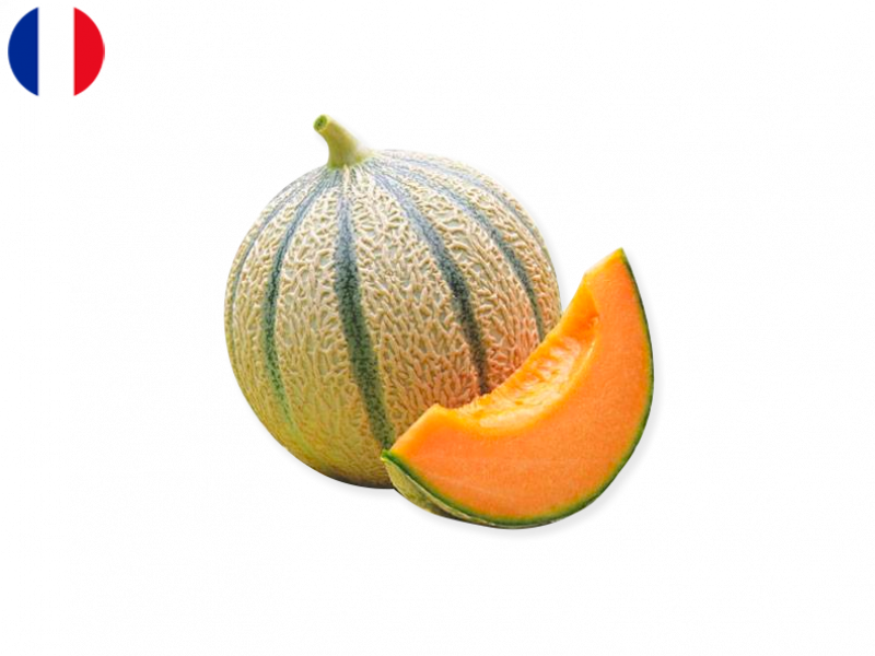 FMELO06