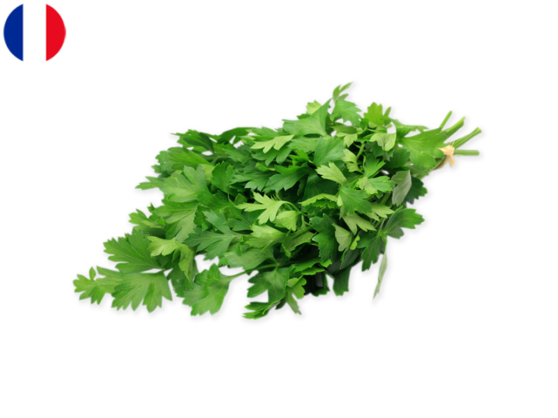 Flat_Parsley_HPARS01