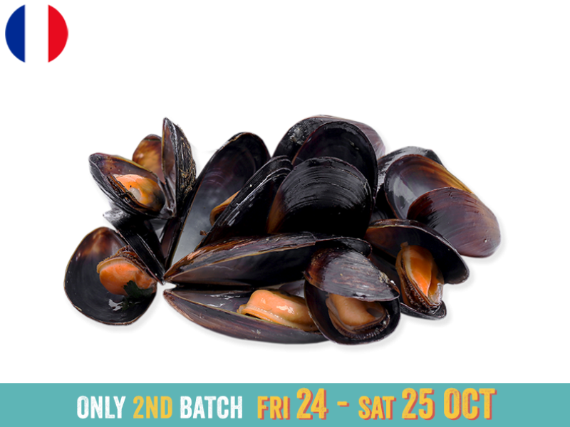 Fresh_Buchot_Mussels_AOP_from_Mont_Saint_Michel_2ND BATCH_SMUSS01