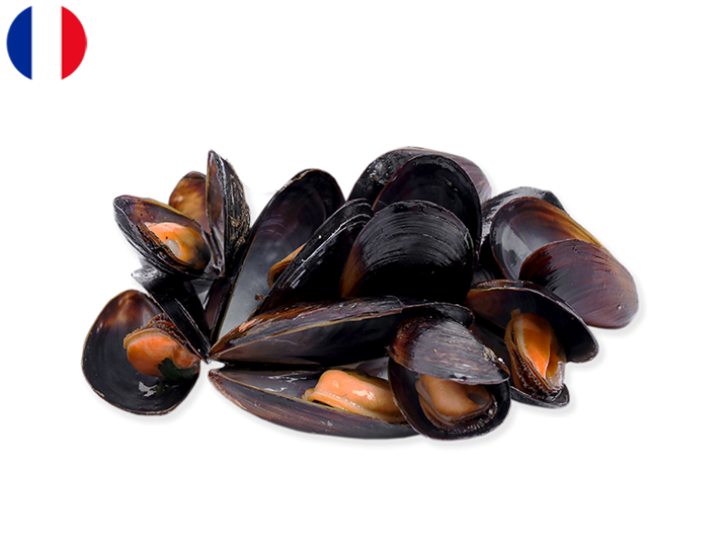 Fresh_Buchot_Mussels_AOP_from_Mont_Saint_Michel_SMUSS01