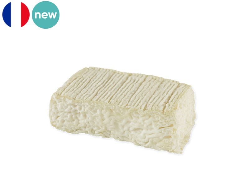 Ginestarie_Organic_CGINE01