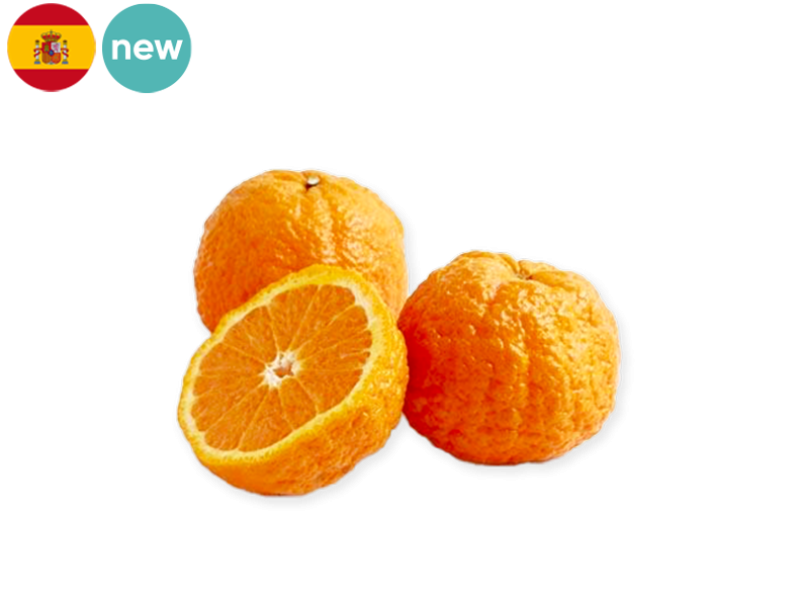 Gold_Nugget_Mandarin_NEW_FMAND11