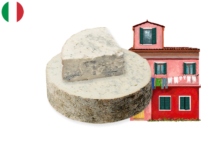 Gorgonzola_Dolce_CGORG04