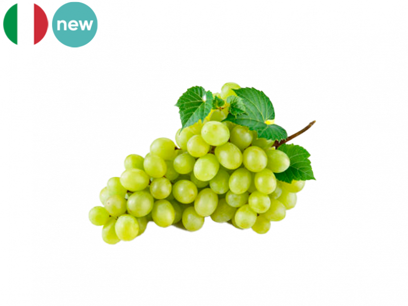 Grape_White_Sublima_Seedless_from_Italy_Organic_FGRAP17
