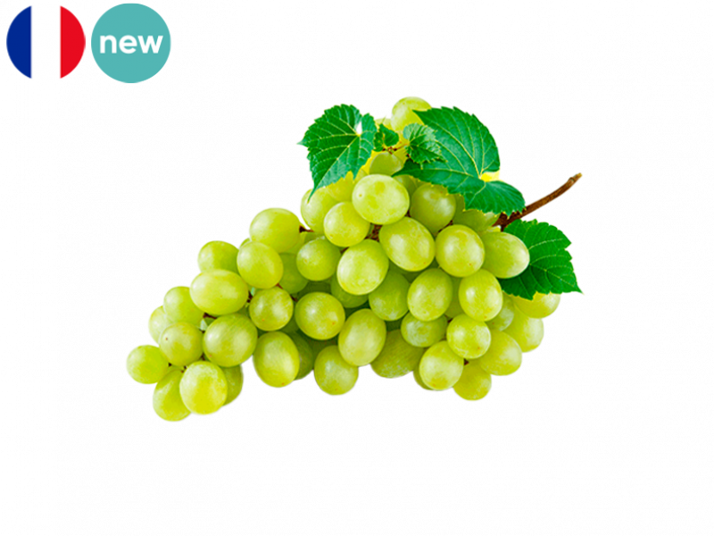 Grape_White_Superior_Seedless_from_France_Organic_FGRAP23 (1)