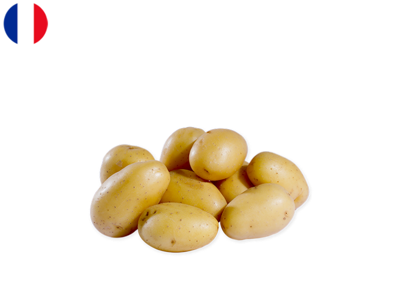 Grenailles_Charlotte_Potato_FPOTA37