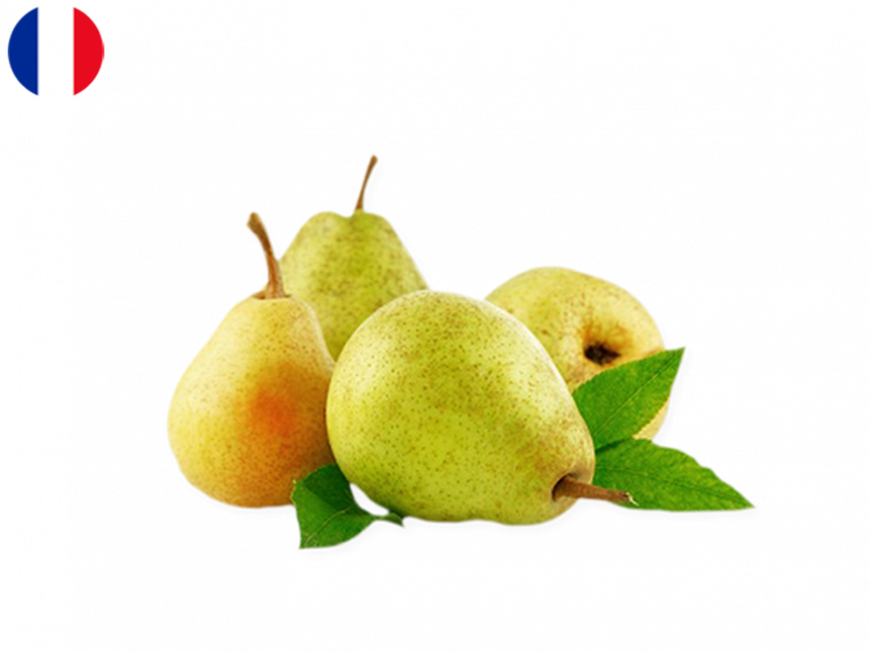 Guyot_Pear_FPEAR02