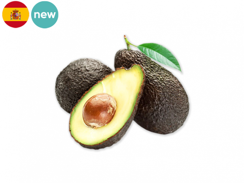 HASS_AVOCADO_FAVOC03