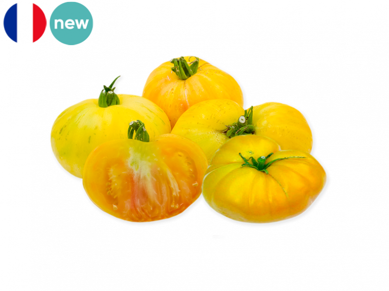HEIRLOOM_YELLOW_PINEAPPLE_TOMATO_NEW_FTOMA23 (1)