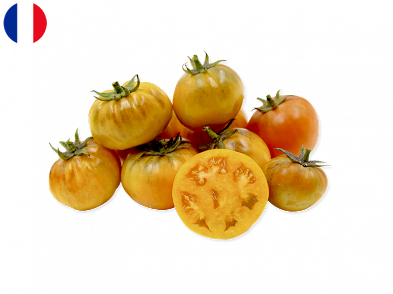 Heirloom_Orange_Queen_Tomato_FTOMA21