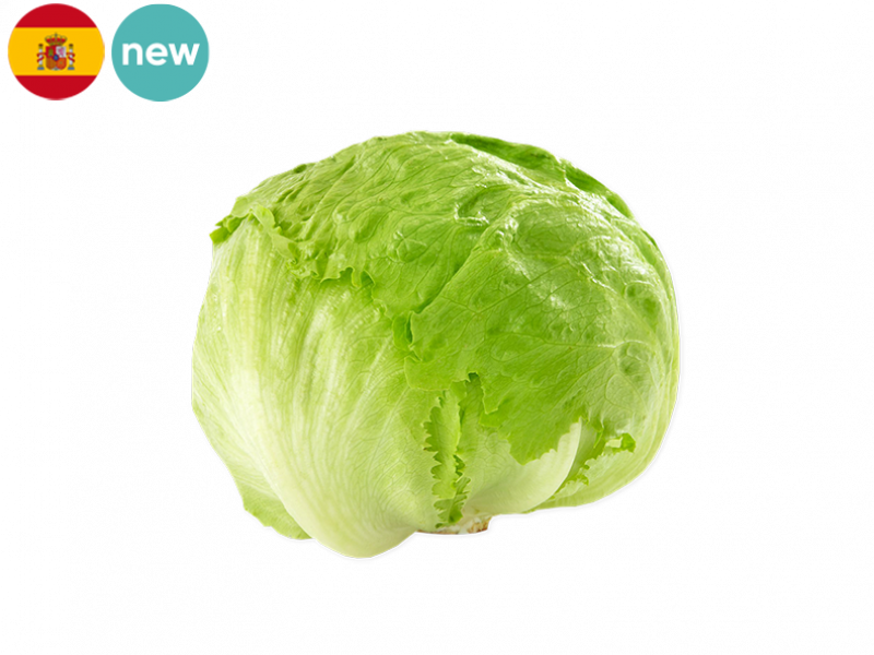 ICEBERG_SALAD_NEW_FSALA01