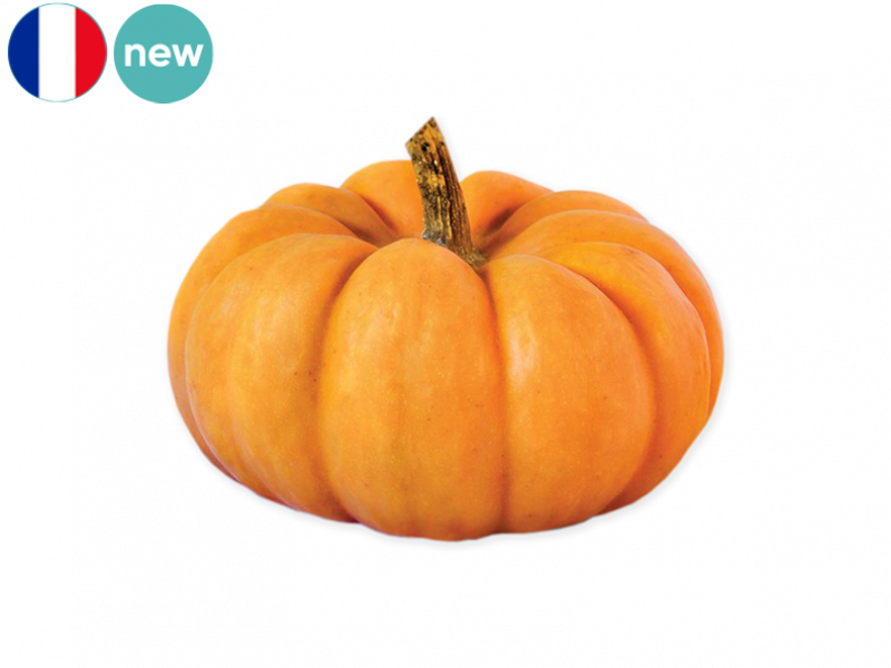 Jack_be_little_squash_new_FSQUA07