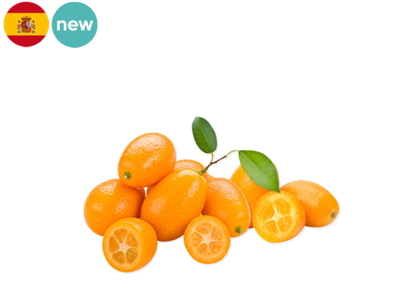 Kumquat_Spain_FKUMQ03