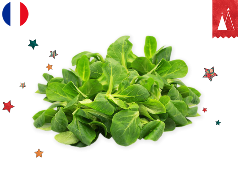 Lamb's_Lettuce_France_FLAMB04