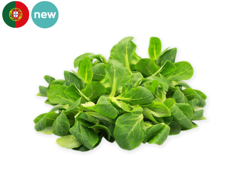 Lamb's_Lettuce_from_Portugal_Organic_FLAMB02