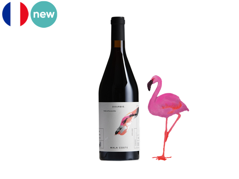 Languedoc_AOC_Mala_Coste_Rouge_Domaine_Dourbie_2023_WRED188