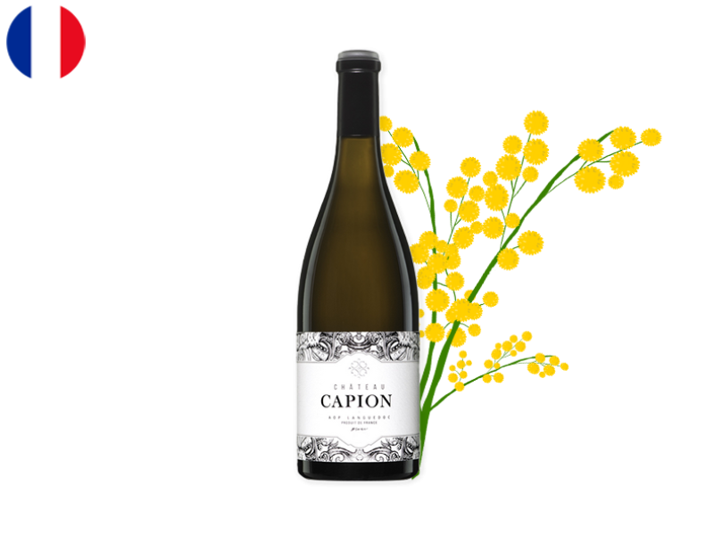 Languedoc_Chateau_Capion_WWHI130