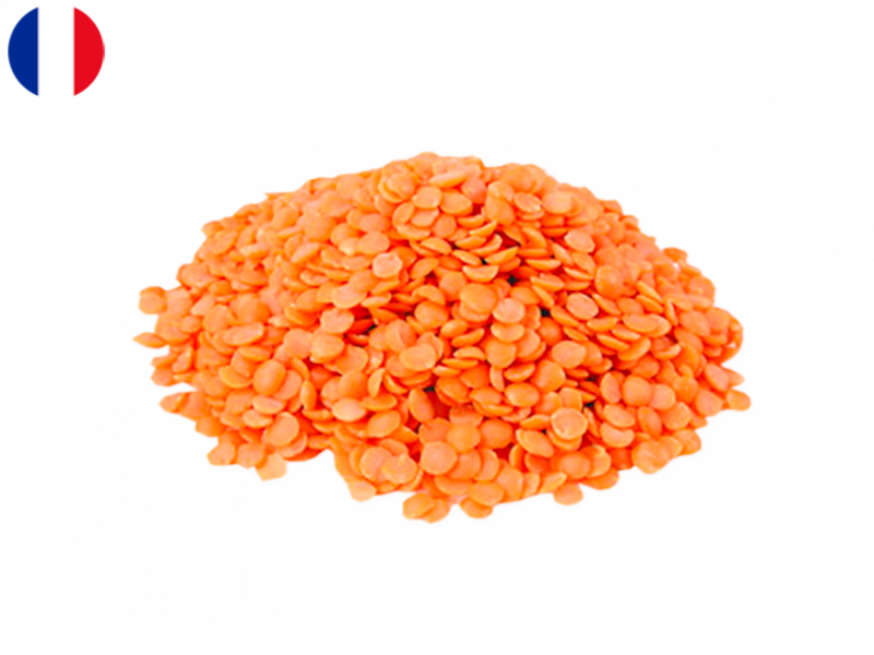 Lentis_Coral_from_France_(Organic)_FLENT05