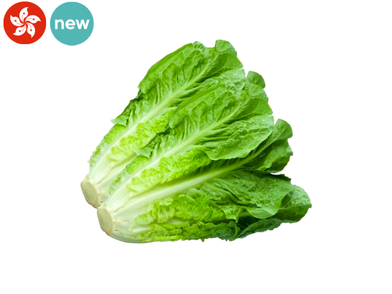 Lettuce_Romaine_Hong_Kong_(Aquaponics)_FSALA11