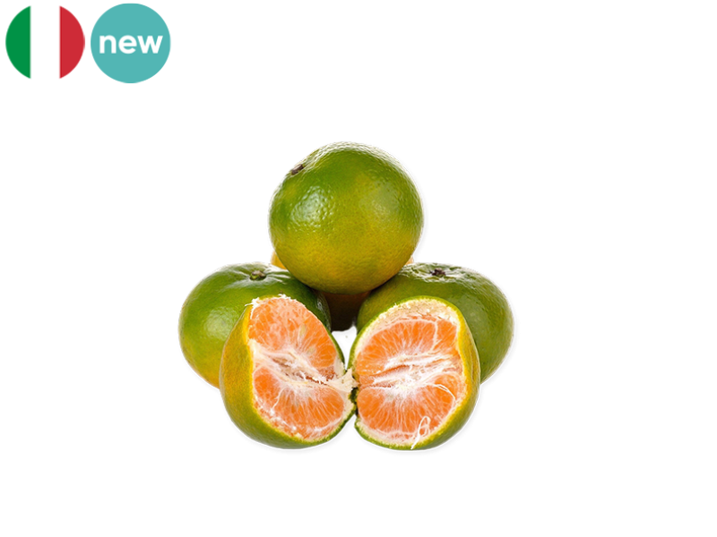 Mandarin_Satsua_FMAND12