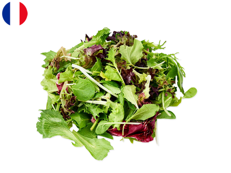 Mesclun_Salad_France_FSALA09