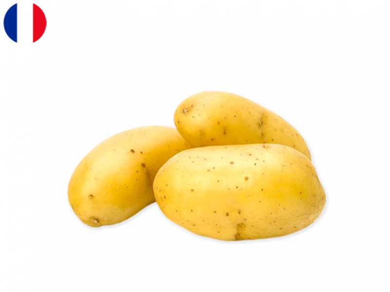 Mona_Lisa_Potato_FPOTA12