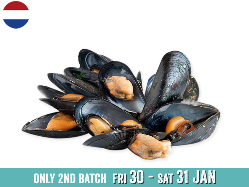 Mussels_2ND BATCH_SMUSS06