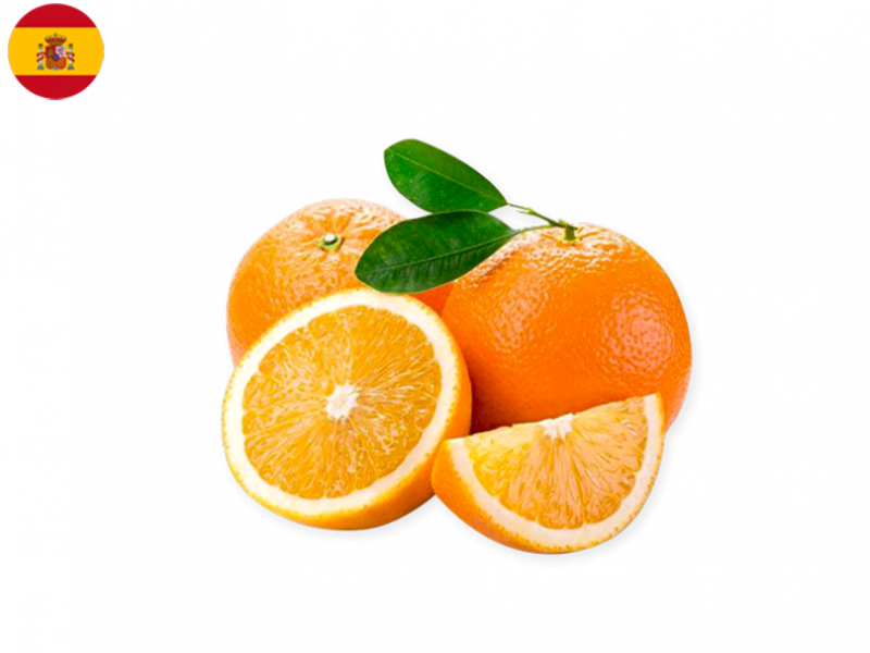 NAVELINE_ORANGE_AVE_MARIA_FORAN07 (1)