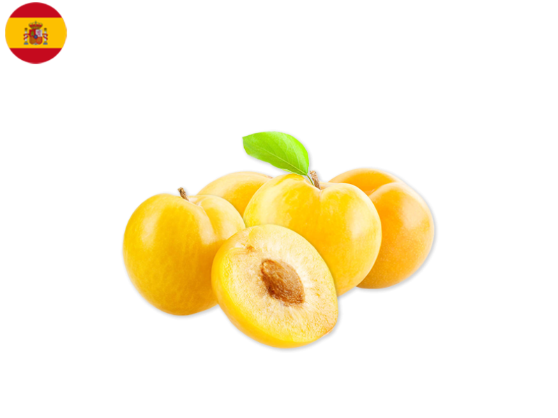 ORGANIC_SUN_GOLD_PLUM_Sapin_FPLUM19