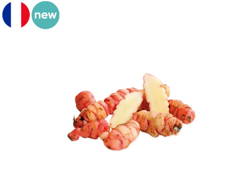 Oca_Peruvian_France_FOCAP02