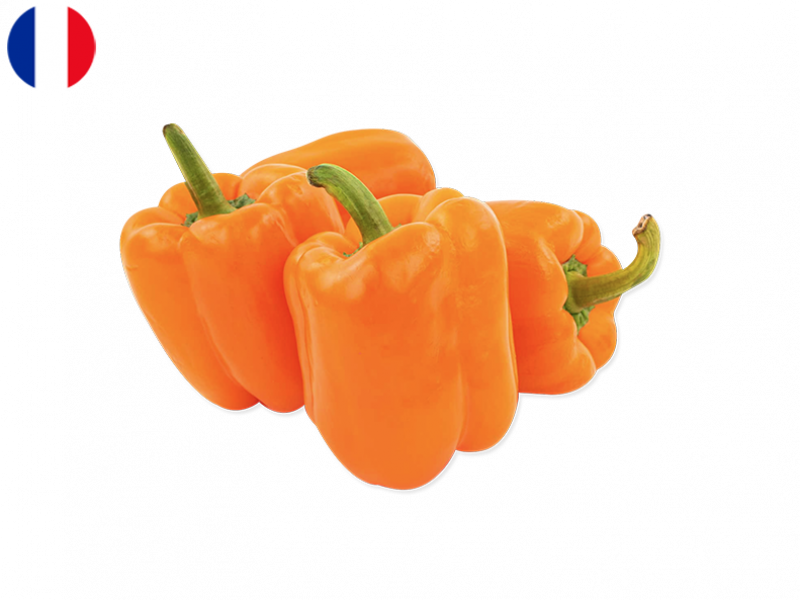 Orange_California_Pepper_FPEPP09