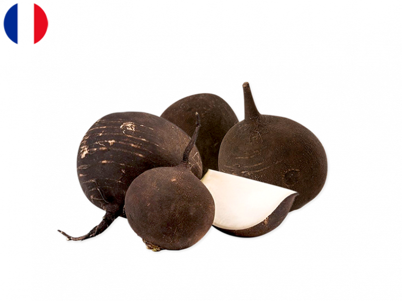 Organic_Black_Round_Radish_FRADI04 (1)