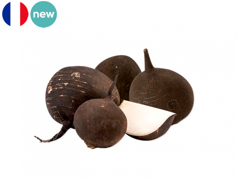 Organic_Black_Round_Radish_NEW_FRADI04