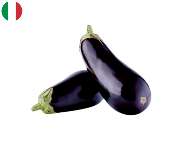 Organic_Half_Long_Violet_Eggplant_FEGG04