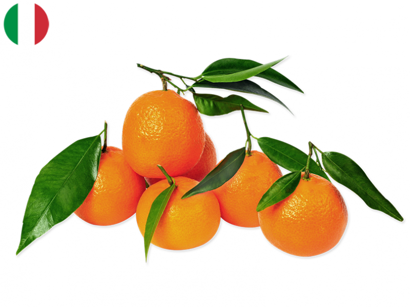 Organic_Hernandina_Clementines_from_Sicily_FCLEM02