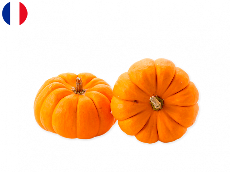 Organic_Jack_Little_Pumpkin_FPUMP