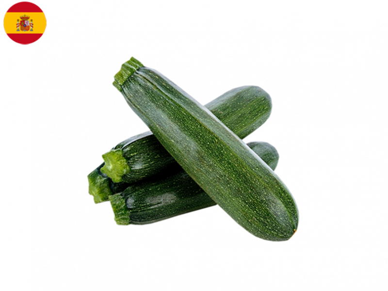 Organic_Long_Zucchini_FZUCC06