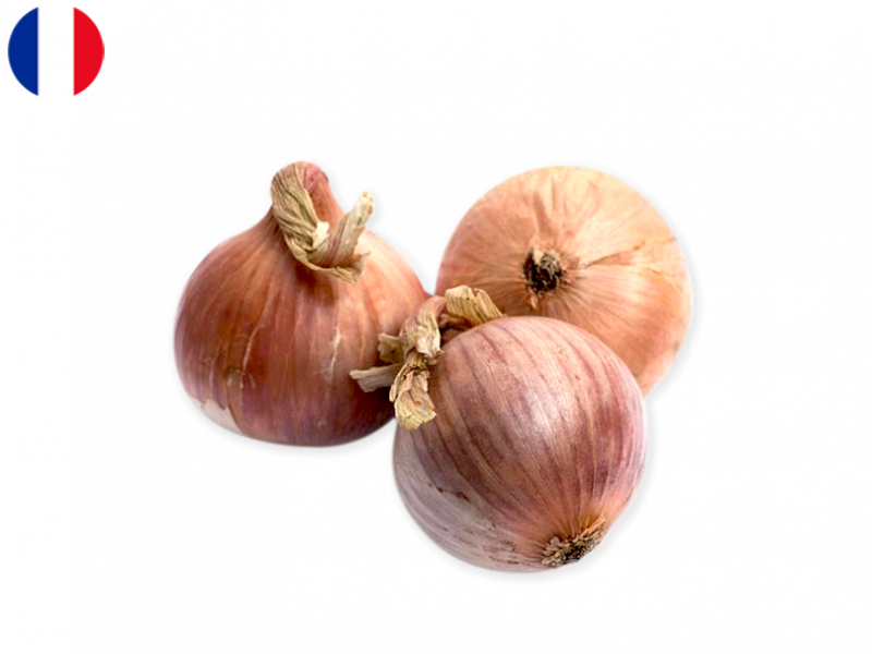 Organic_PDO_Pink_Onion_from_Roscoff_FONIO07 (1)