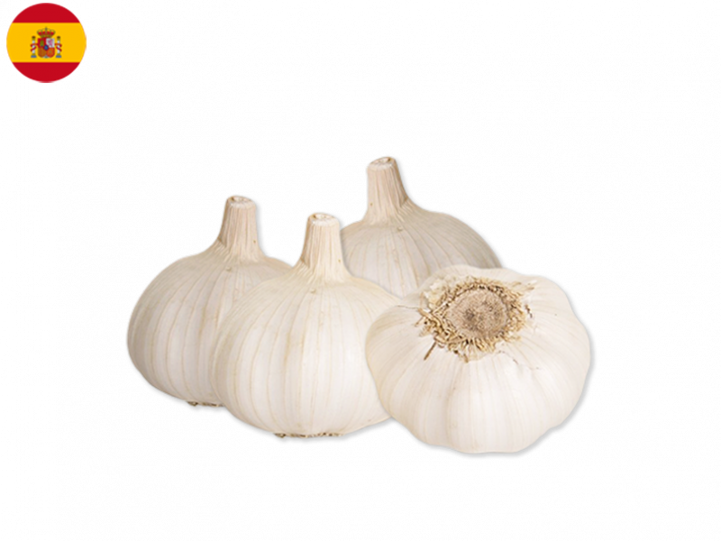 Organic_White Garlic_FGARL06