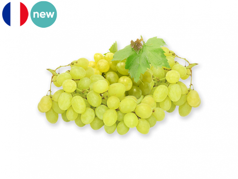 Organic_White_Danlas_Grape_New_FGRAP20