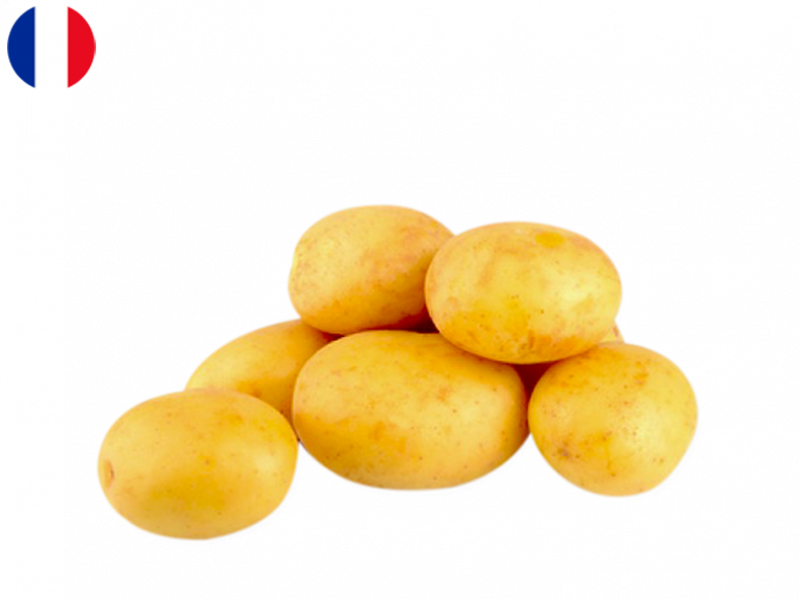 Ostara_Potato_from_Batz_Island_FPOTA05